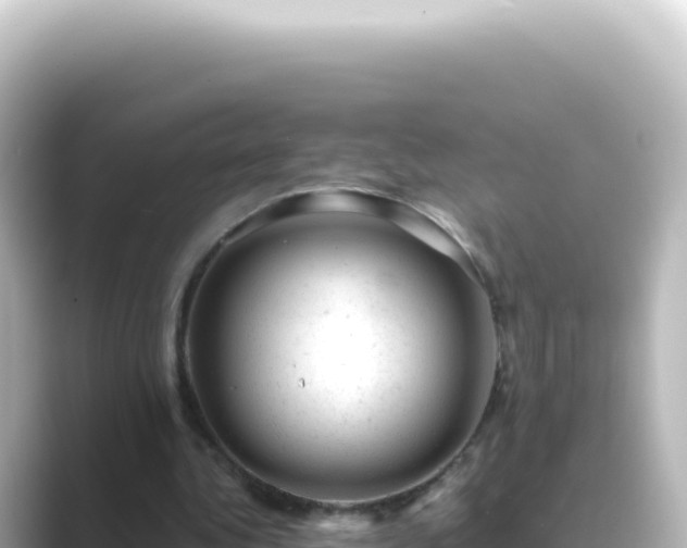 X0000089450340200706221251