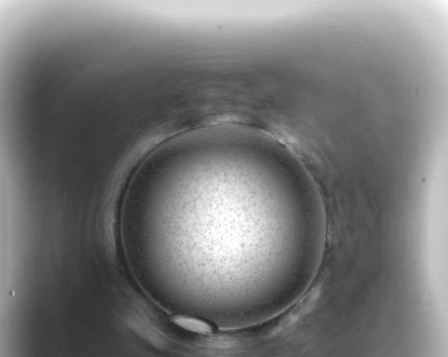 X0000089450341200706221251