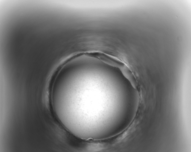 X0000089450342200706221251