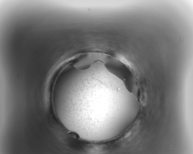 X0000089450343200706221251