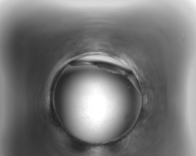 X0000089450344200706221251