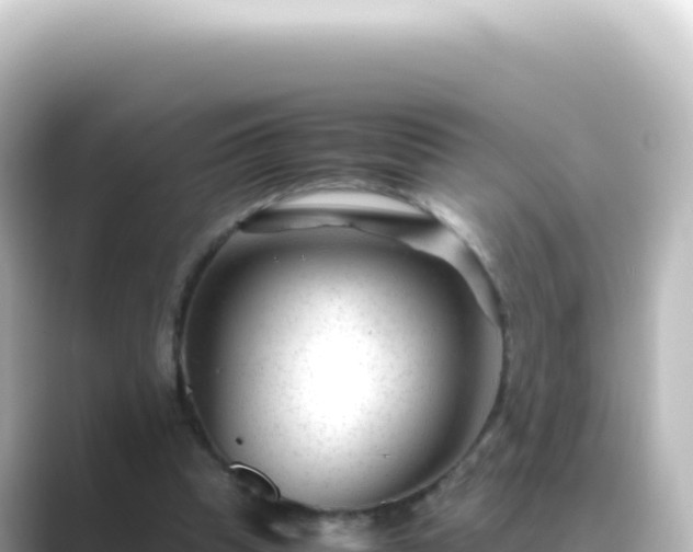 X0000089450345200706221251