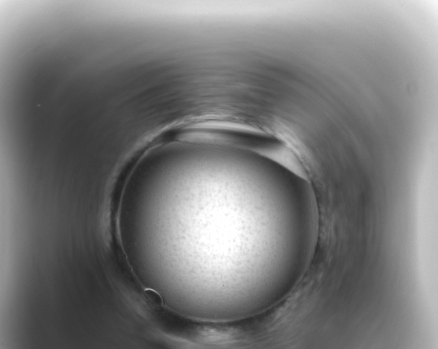 X0000089450346200706221251