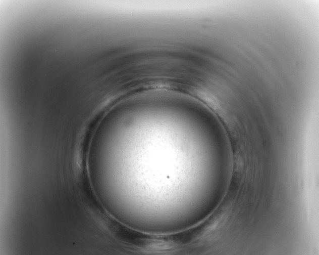 X0000089450347200706221251