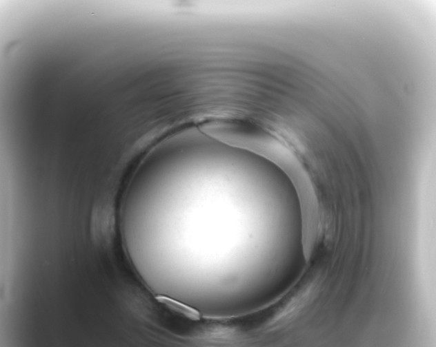 X0000089450348200706221251