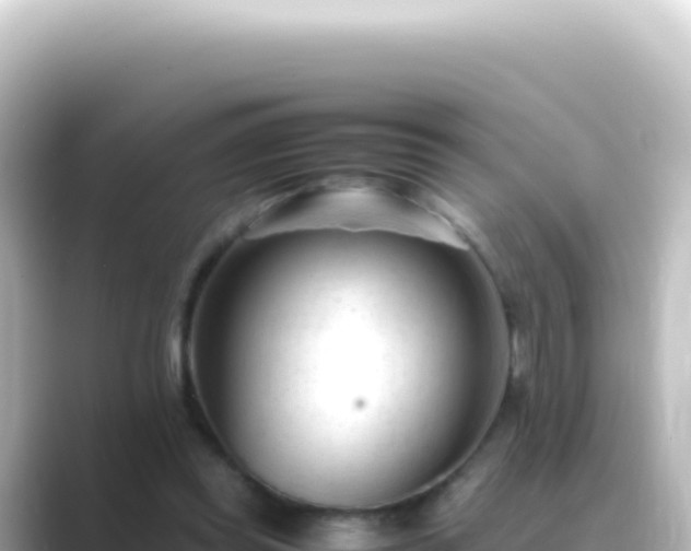 X0000089450349200706221251