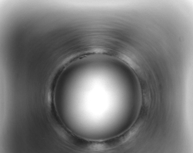 X0000089450350200706221251