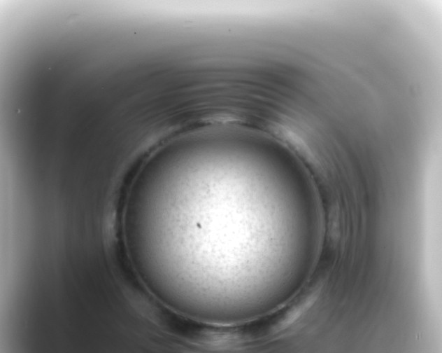 X0000089450351200706221251