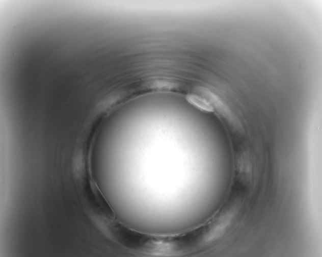 X0000089450352200706221251
