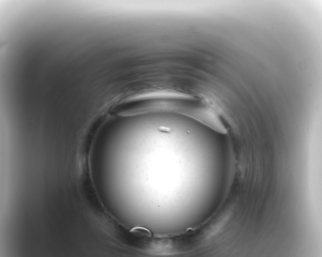X0000089450355200706221251