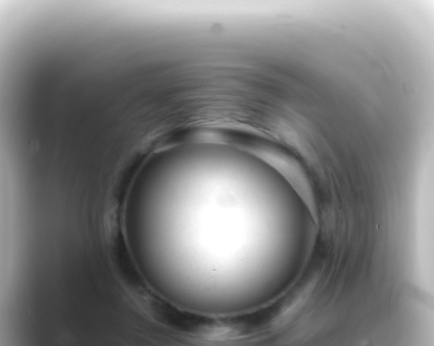 X0000089450356200706221251