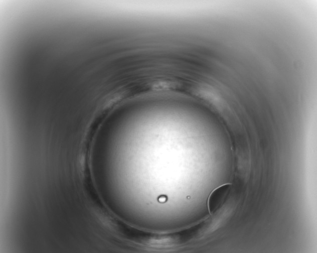 X0000089450357200706221251