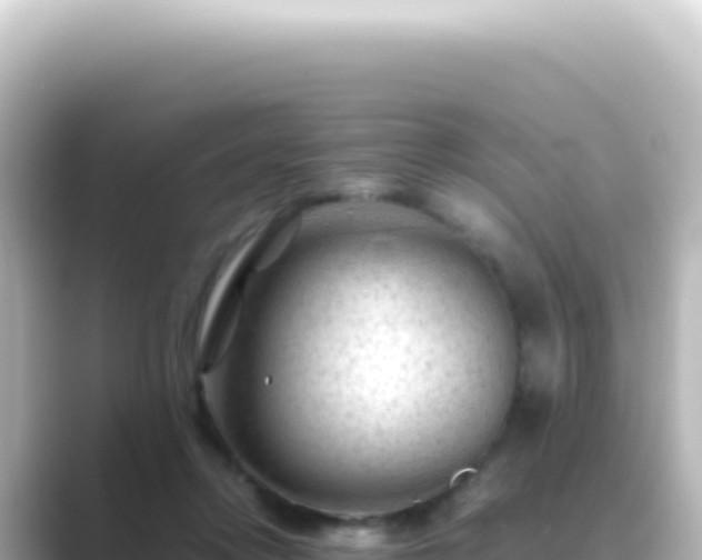 X0000089450358200706221251