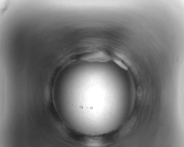 X0000089450359200706221251
