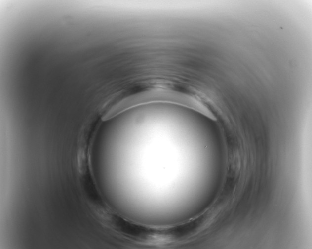 X0000089450360200706221251