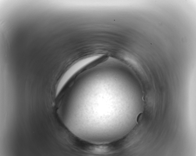 X0000089450361200706221251