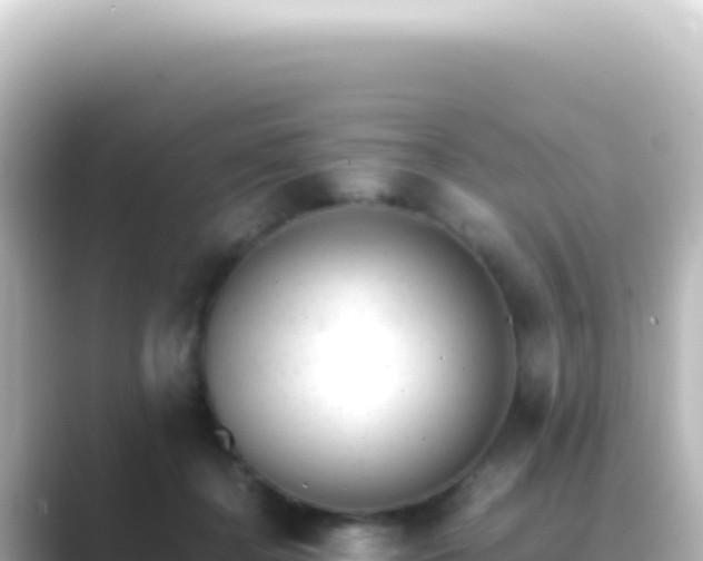 X0000089450364200706221251