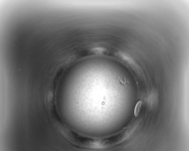 X0000089450365200706221251