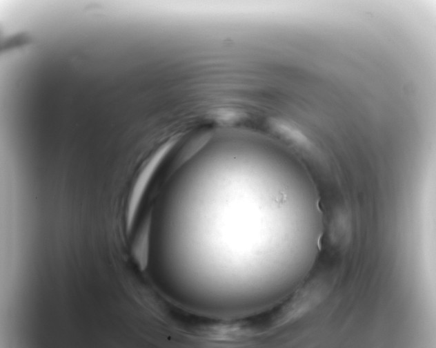 X0000089450366200706221251