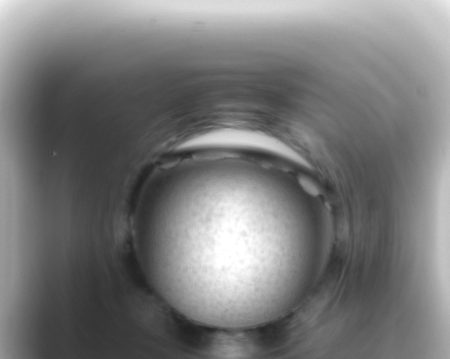 X0000089450367200706221251
