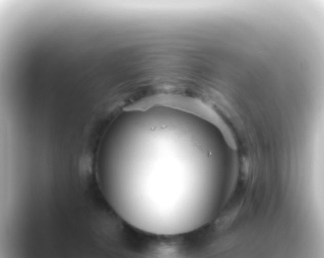 X0000089450368200706221251