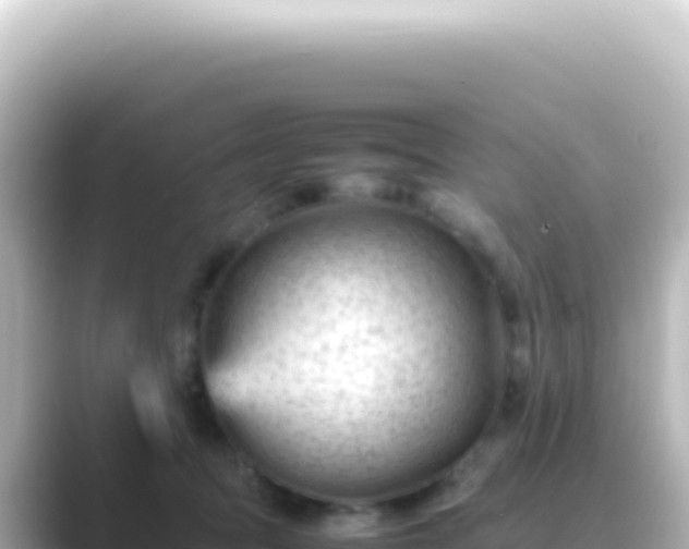 X0000089450369200706221251