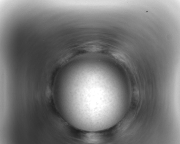X0000089450371200706221251