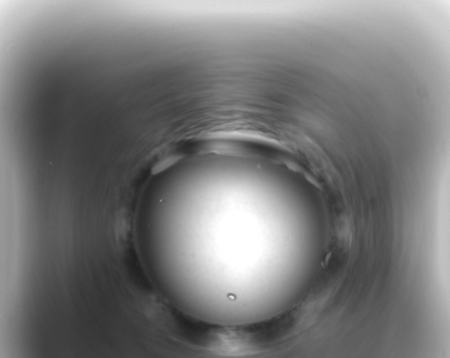 X0000089450372200706221251
