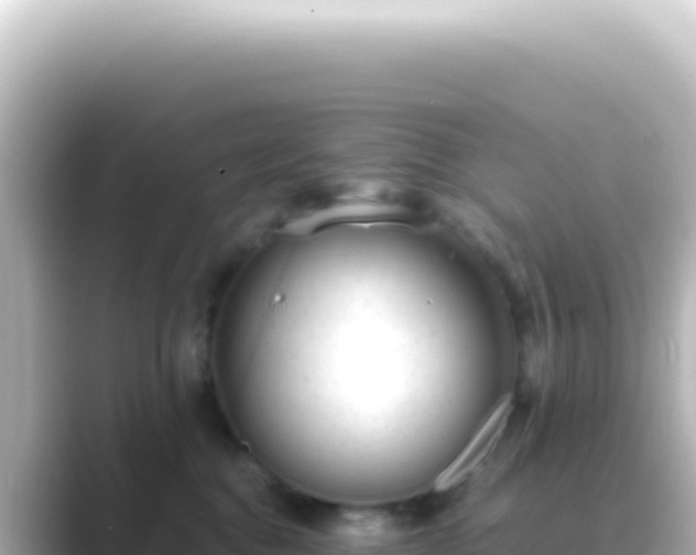 X0000089450376200706221251