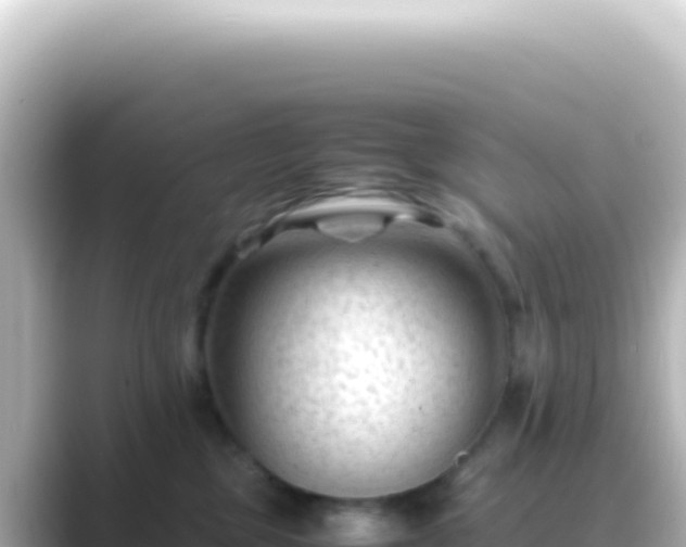 X0000089450377200706221251