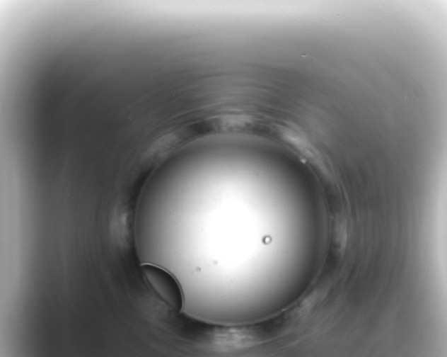 X0000089450378200706221251