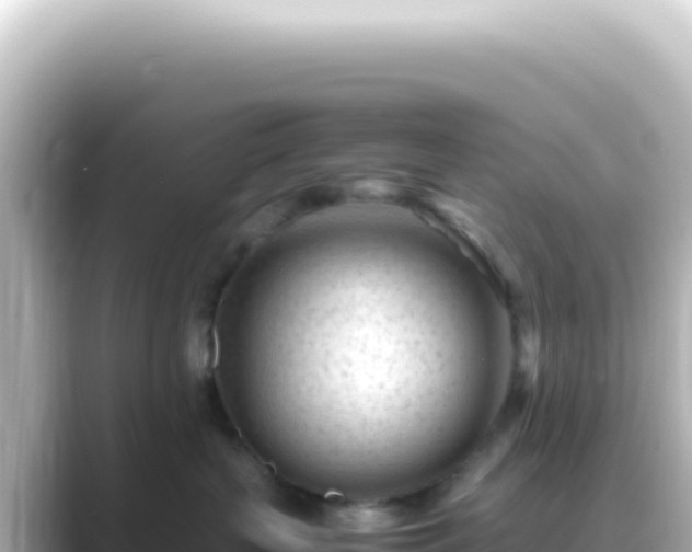 X0000089450383200706221251