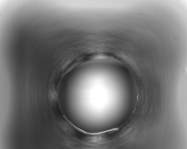 X0000089450384200706221251