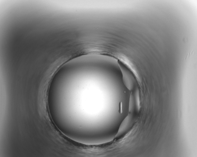 X0000089450385200706221251