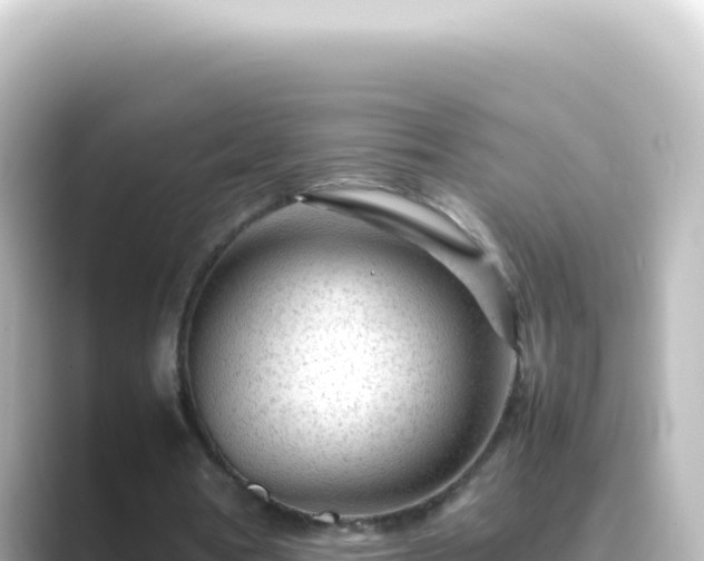 X0000089450386200706221251