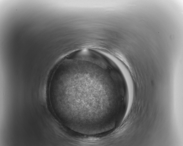 X0000089450387200706221251