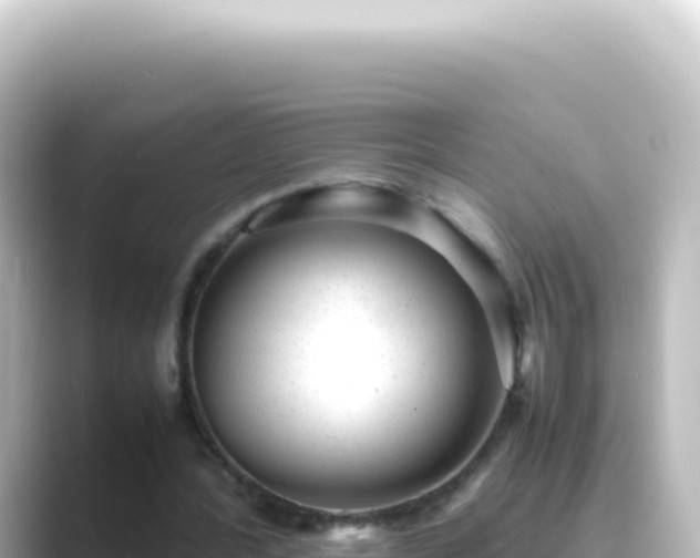 X0000089450388200706221251