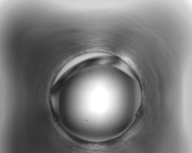X0000089450389200706221251