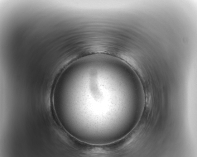 X0000089450390200706221251