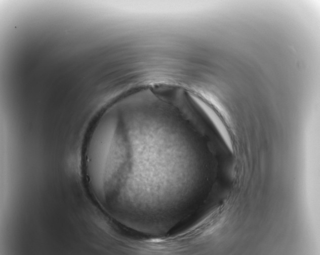 X0000089450391200706221251