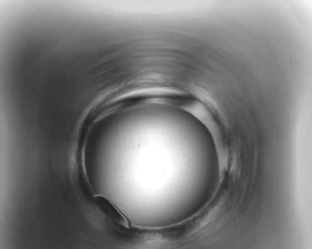X0000089450392200706221251