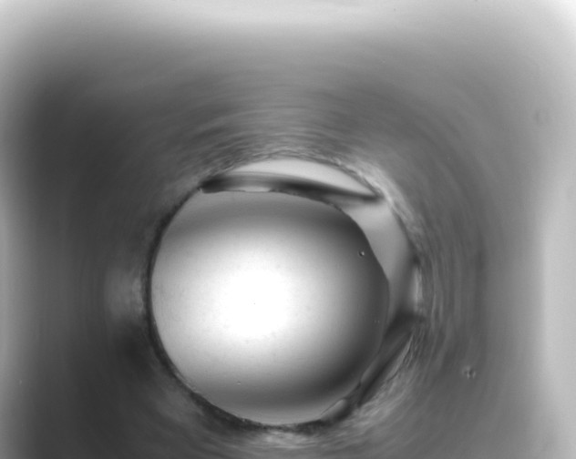 X0000089450393200706221251