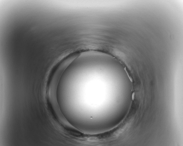 X0000089450395200706221251