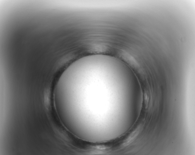 X0000089450396200706221251