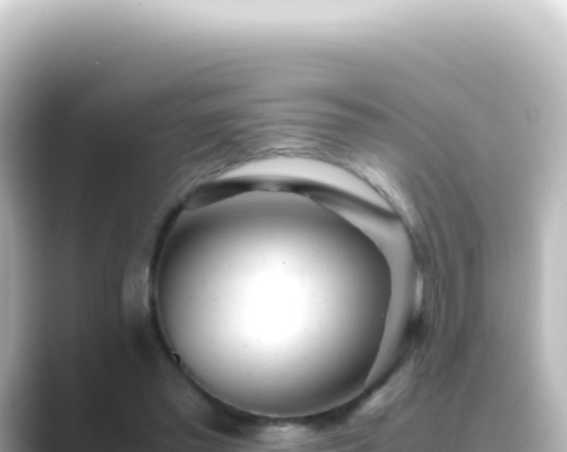 X0000089450397200706221251
