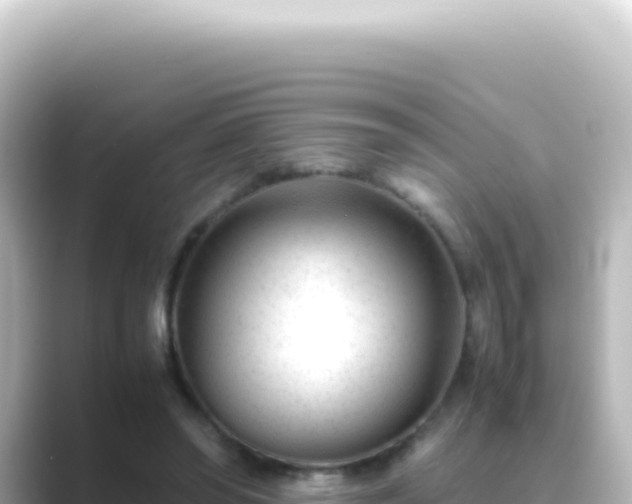 X0000089450398200706221251