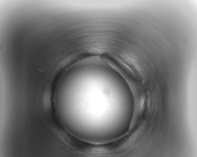 X0000089450400200706221251