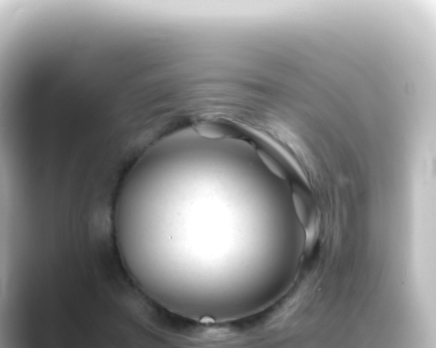 X0000089450401200706221251