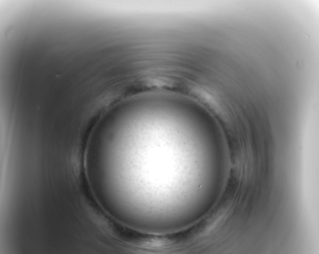 X0000089450402200706221251