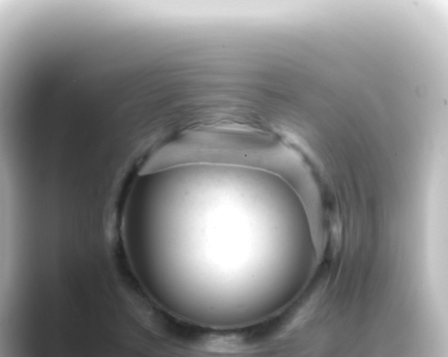 X0000089450403200706221251